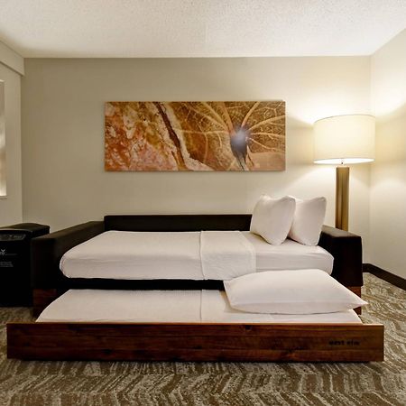 Springhill Suites By Marriott Atlanta Kennesaw Zewnętrze zdjęcie